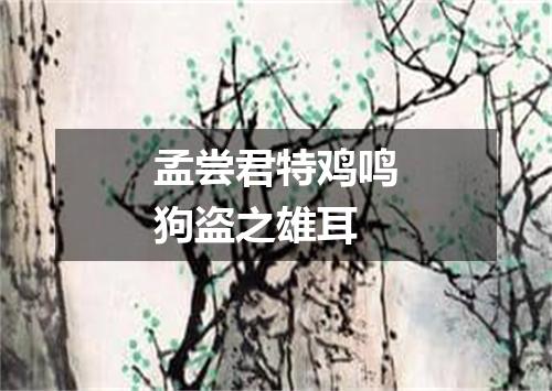 孟尝君特鸡鸣狗盗之雄耳