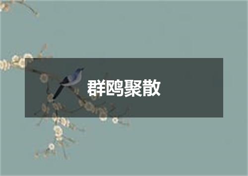 群鸥聚散