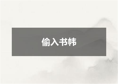 偷入书帏
