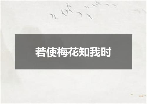 若使梅花知我时