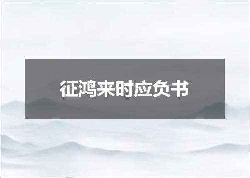征鸿来时应负书