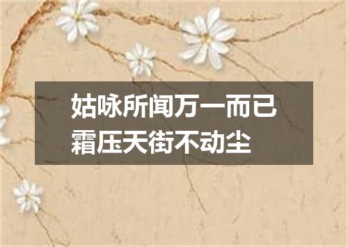 姑咏所闻万一而已霜压天街不动尘