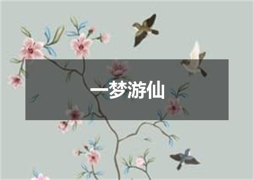 一梦游仙