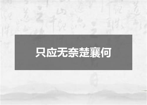 只应无奈楚襄何