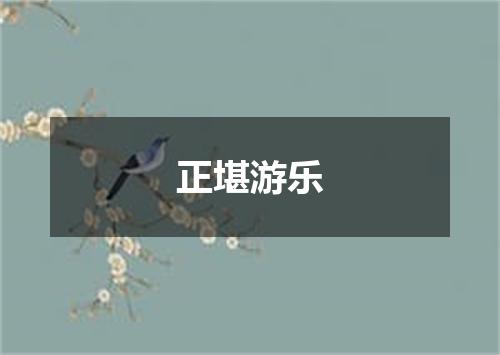 正堪游乐