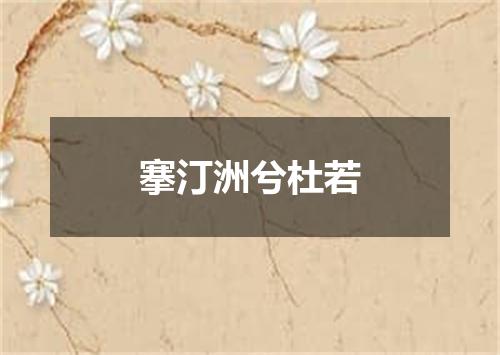 搴汀洲兮杜若
