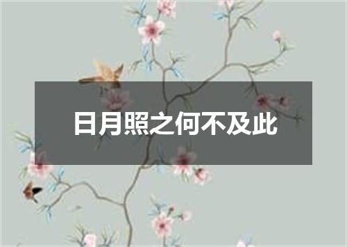 日月照之何不及此