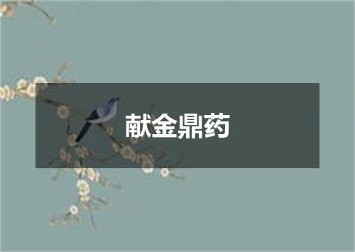 献金鼎药