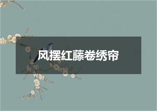 风摆红藤卷绣帘