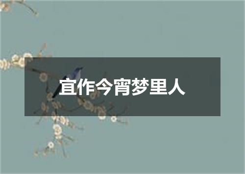 宜作今宵梦里人