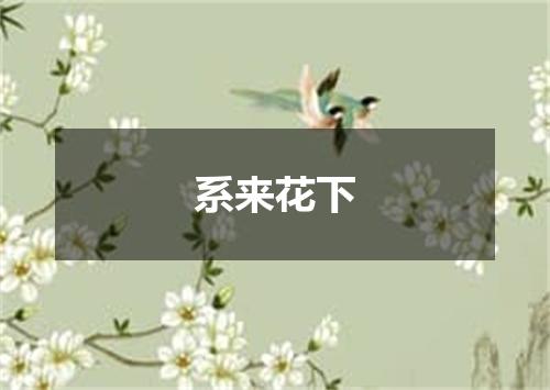 系来花下