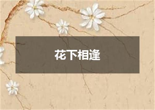 花下相逢