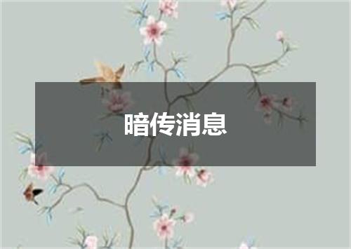 暗传消息