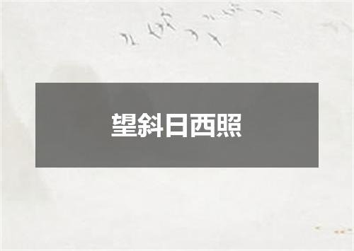 望斜日西照