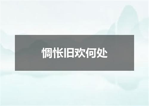 惆怅旧欢何处