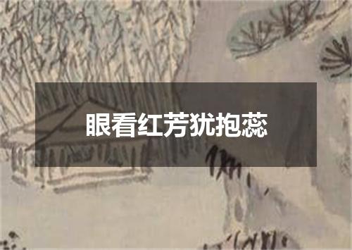 眼看红芳犹抱蕊