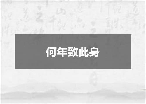 何年致此身