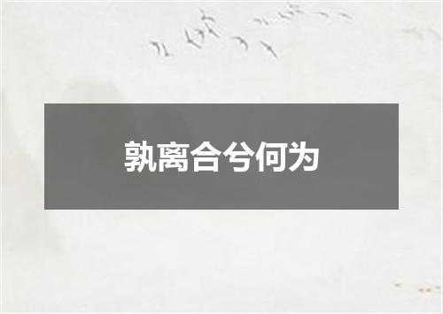 孰离合兮何为