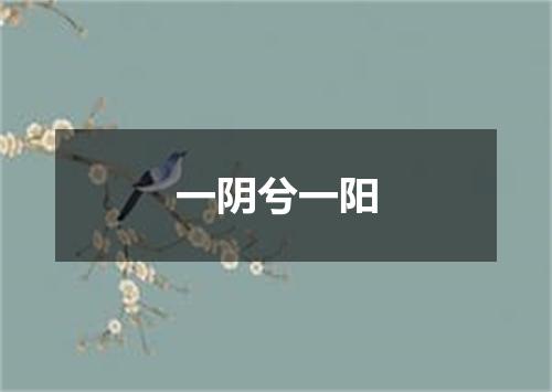 一阴兮一阳
