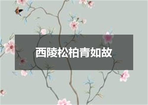 西陵松柏青如故