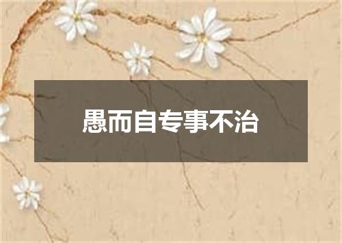 愚而自专事不治