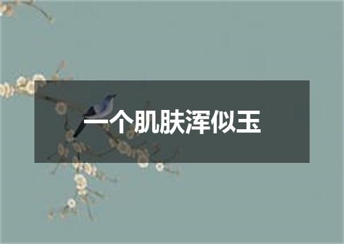 一个肌肤浑似玉