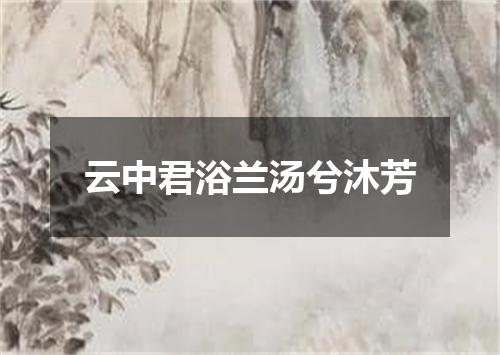 云中君浴兰汤兮沐芳