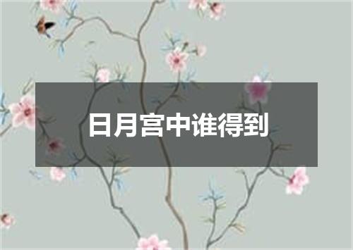 日月宫中谁得到