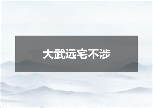 大武远宅不涉