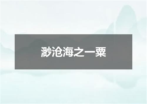 渺沧海之一粟