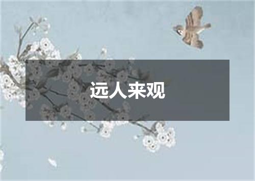 远人来观