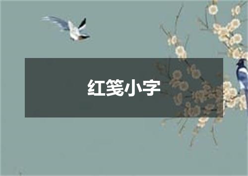 红笺小字