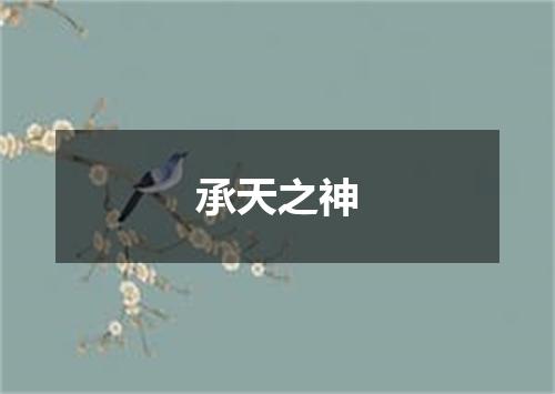 承天之神
