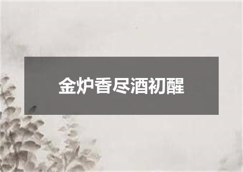 金炉香尽酒初醒