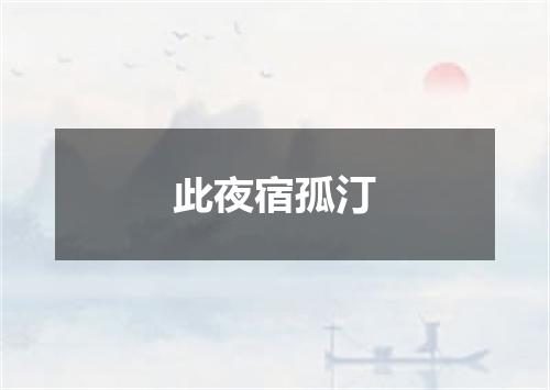 此夜宿孤汀