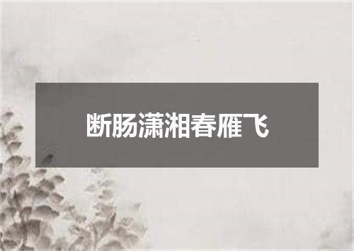 断肠潇湘春雁飞