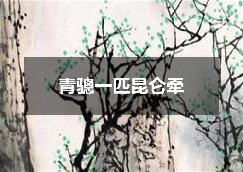 青骢一匹昆仑牵
