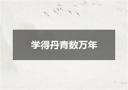 学得丹青数万年