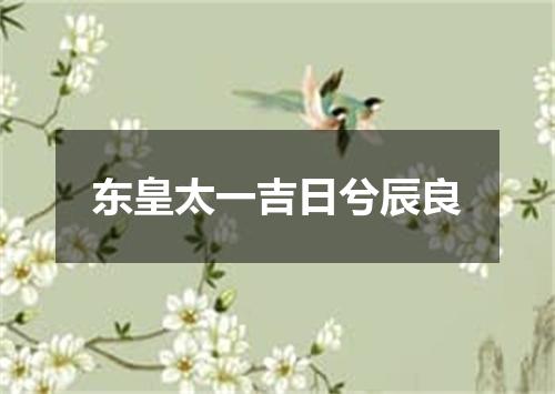 东皇太一吉日兮辰良