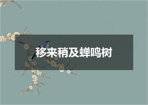 移来稍及蝉鸣树