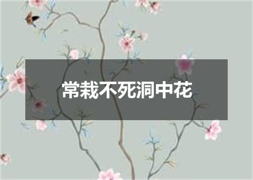 常栽不死洞中花