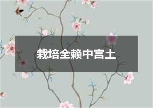 栽培全赖中宫土