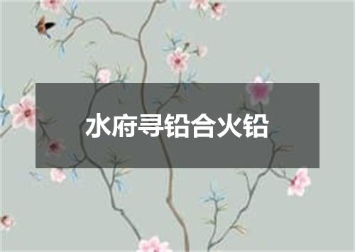 水府寻铅合火铅