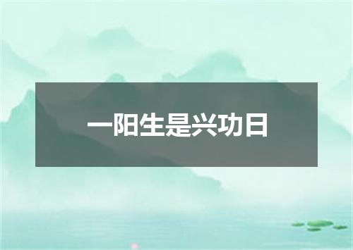 一阳生是兴功日