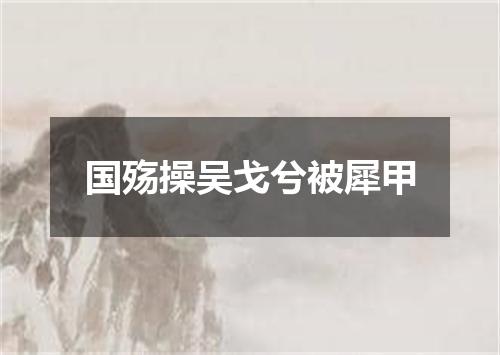 国殇操吴戈兮被犀甲