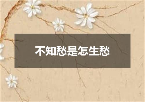 不知愁是怎生愁