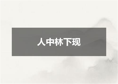 人中林下现
