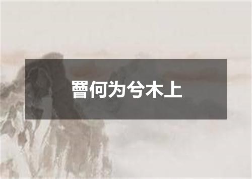 罾何为兮木上