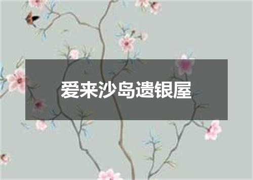 爱来沙岛遗银屋