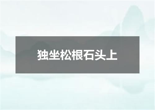 独坐松根石头上